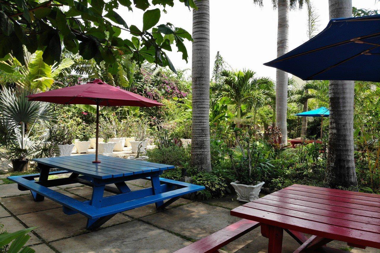 מלון Negril Palms מראה חיצוני תמונה