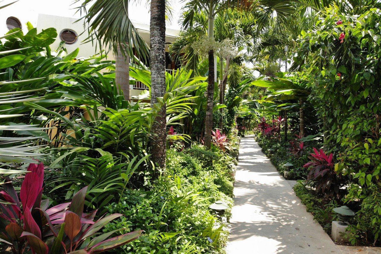 מלון Negril Palms מראה חיצוני תמונה