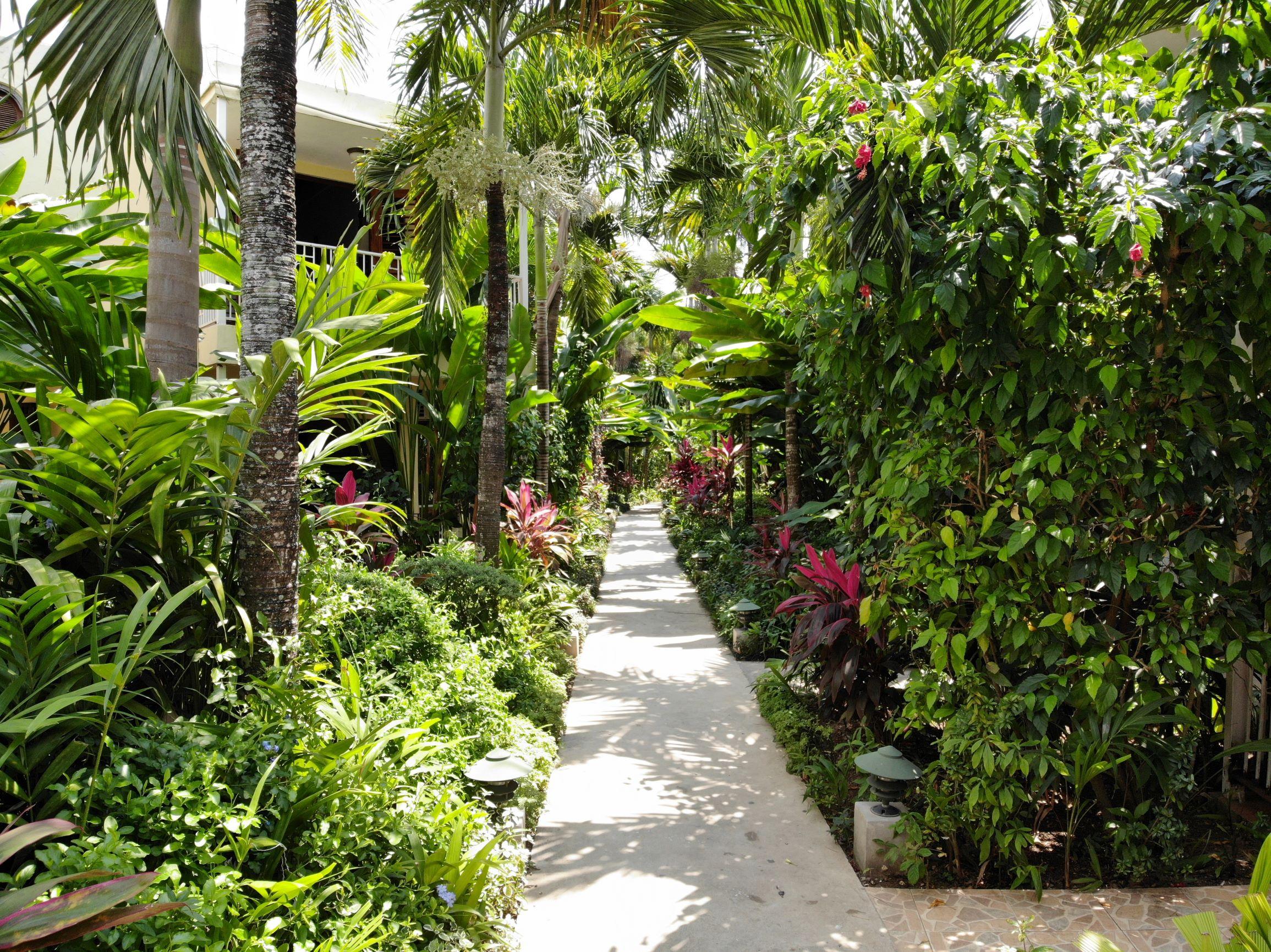 מלון Negril Palms מראה חיצוני תמונה